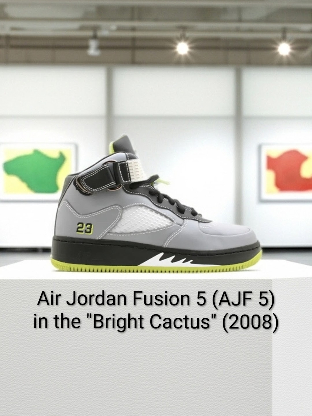 Air Jordan 5 Retro Fusion GS (2008) Rare (AJF 5) "Cactus" NWBox 5.5Y W7